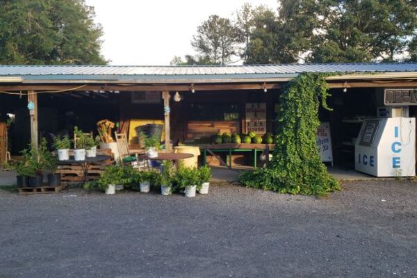 6 South Carolina Farm Stands Where Fall Means Fresh Boiled Peanuts