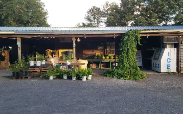 6 South Carolina Farm Stands Where Fall Means Fresh Boiled Peanuts