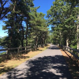 Cranberry Bogs and Quaint Cape Cod Towns Line This Flat, Paved Massachusetts Bike Trail