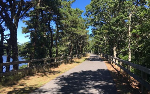 Cranberry Bogs and Quaint Cape Cod Towns Line This Flat, Paved Massachusetts Bike Trail