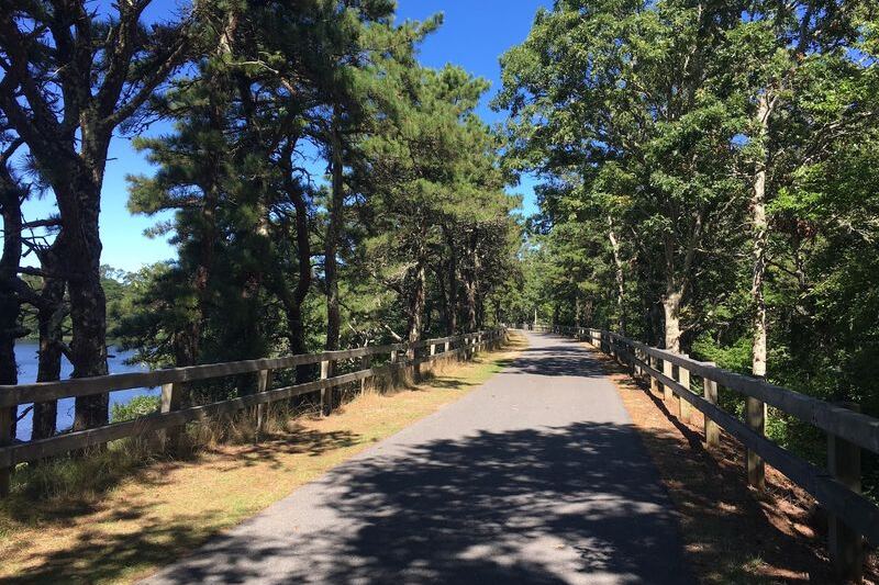 Cranberry Bogs and Quaint Cape Cod Towns Line This Flat, Paved Massachusetts Bike Trail