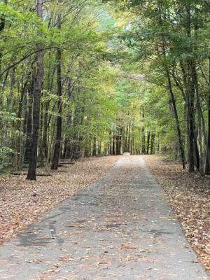 Cary’s Bond Metro Park Gives You a Two-Mile Lake Loop, Paddle Boats and Herons for Almost Nothing