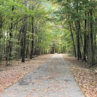 Cary’s Bond Metro Park Gives You a Two-Mile Lake Loop, Paddle Boats and Herons for Almost Nothing