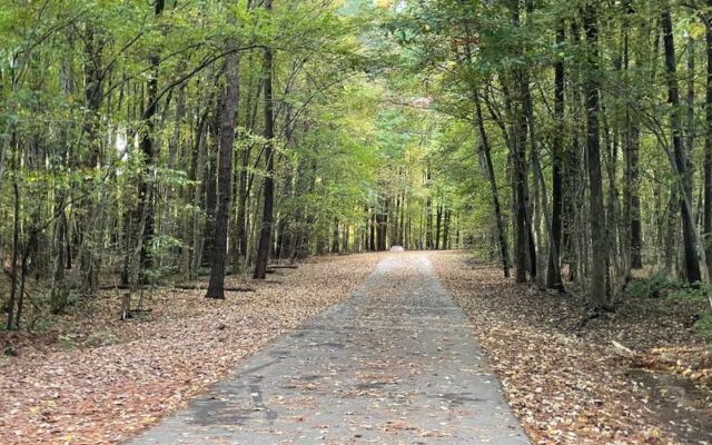 Cary’s Bond Metro Park Gives You a Two-Mile Lake Loop, Paddle Boats and Herons for Almost Nothing