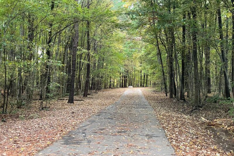 Cary’s Bond Metro Park Gives You a Two-Mile Lake Loop, Paddle Boats and Herons for Almost Nothing