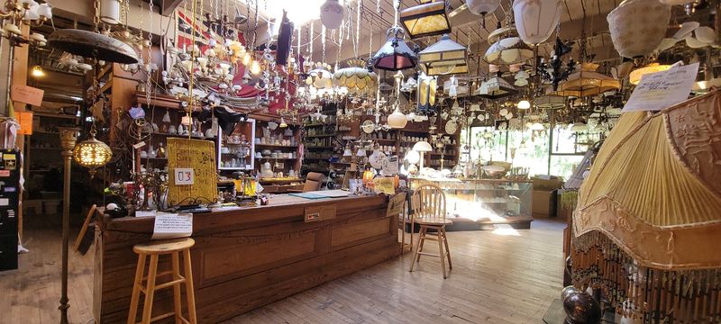 This Three-Story Oregon Hardware Store Doubles as a Museum of Vintage Oddities and Taxidermy
