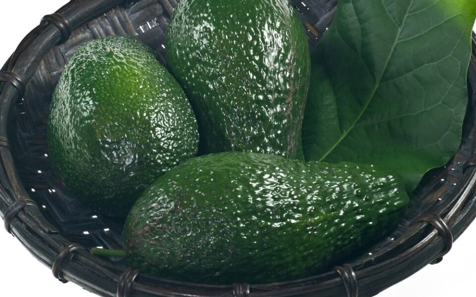 15 Indigenous Foods That Changed Global Cuisine
