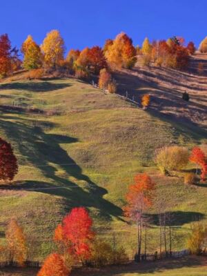 15 Beautiful Countries That Are Even More Magical in the Fall