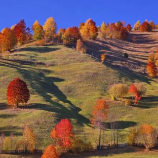 15 Beautiful Countries That Are Even More Magical in the Fall