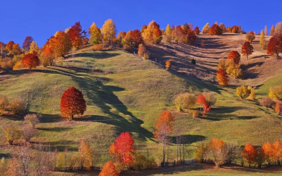 15 Beautiful Countries That Are Even More Magical in the Fall