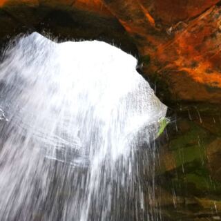 15 Arkansas Natural Wonders That Will Completely Blow You Away