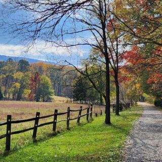 These 8 Tennessee Gardens Turn Fiery Red When Their Trees Peak This Fall