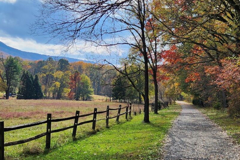 These 8 Tennessee Gardens Turn Fiery Red When Their Trees Peak This Fall