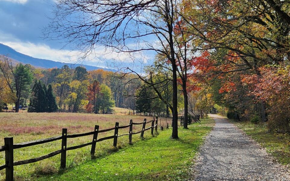 These 8 Tennessee Gardens Turn Fiery Red When Their Trees Peak This Fall