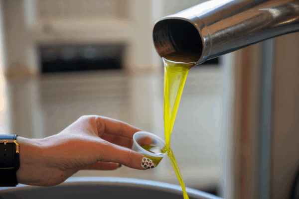 Taste Fresh Olive Oil Straight From the Mill at Pasolivo in Paso Robles, California