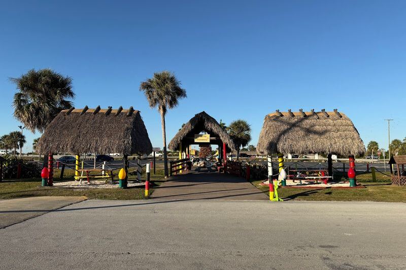 Watch Alligator Wrestling Up Close at Miccosukee Indian Village in Miami
