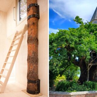 These 13 Incredible Buildings Have Trees Growing Right Through Them