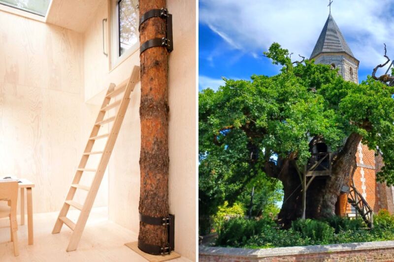 These 13 Incredible Buildings Have Trees Growing Right Through Them
