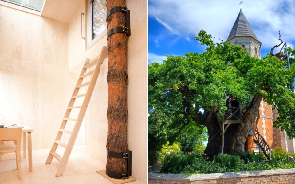 These 13 Incredible Buildings Have Trees Growing Right Through Them