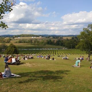 Hillside Picnics And Wine Flights Make This Tennessee Vineyard Feel Like Wine Country Near Nashville