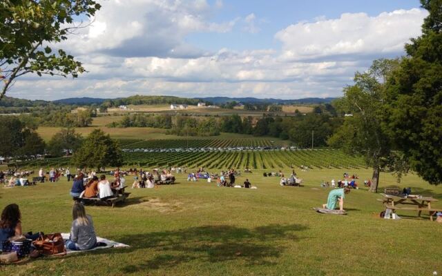 Hillside Picnics And Wine Flights Make This Tennessee Vineyard Feel Like Wine Country Near Nashville