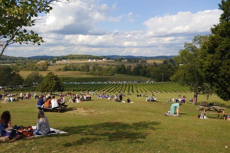 Hillside Picnics And Wine Flights Make This Tennessee Vineyard Feel Like Wine Country Near Nashville
