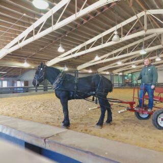 Ohio Has A Real Covered Wagon Road Where Kids Ride Behind Draft Horses At Lake Metroparks Farmpark