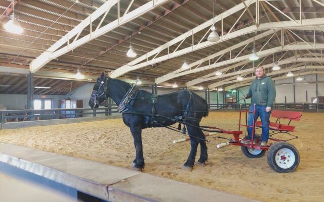 Ohio Has A Real Covered Wagon Road Where Kids Ride Behind Draft Horses At Lake Metroparks Farmpark