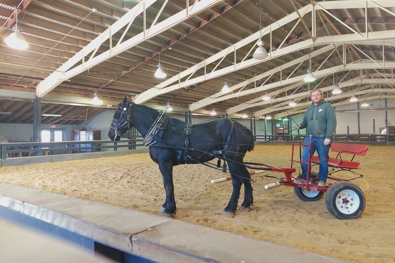 Ohio Has A Real Covered Wagon Road Where Kids Ride Behind Draft Horses At Lake Metroparks Farmpark