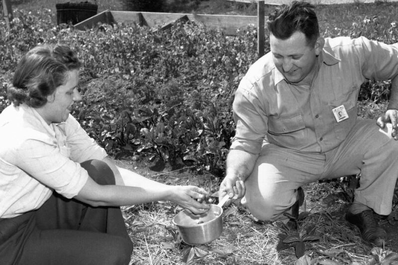 13 Things Our Grandparents Knew Without Ever Looking Them Up