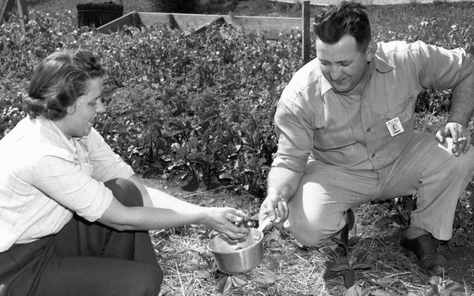 13 Things Our Grandparents Knew Without Ever Looking Them Up