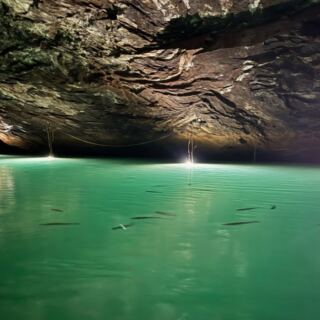 Ride a Boat Across America’s Largest Underground Lake in Tennessee, With Rainbow Trout Swimming Beside You