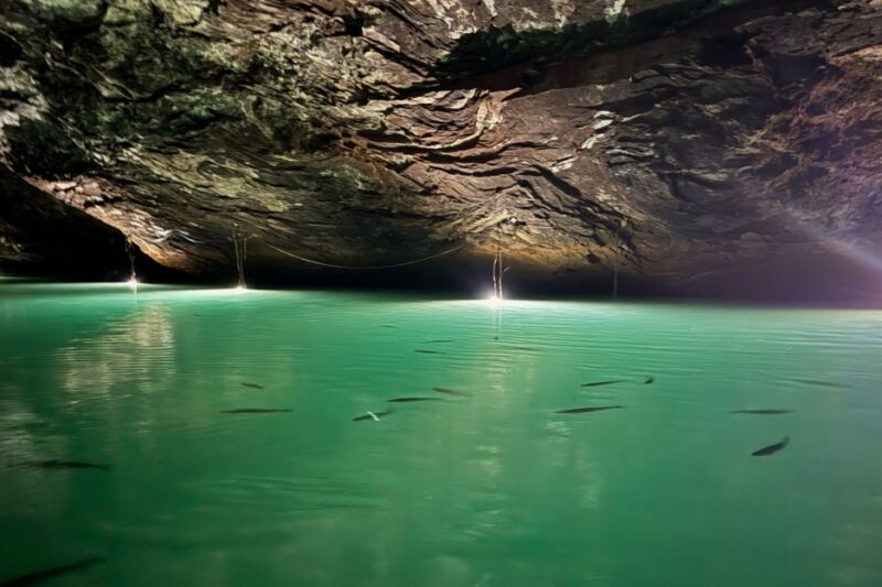 Ride a Boat Across America’s Largest Underground Lake in Tennessee, With Rainbow Trout Swimming Beside You