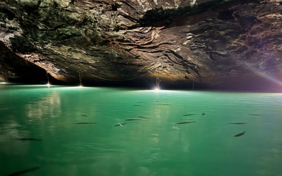 Ride a Boat Across America’s Largest Underground Lake in Tennessee, With Rainbow Trout Swimming Beside You