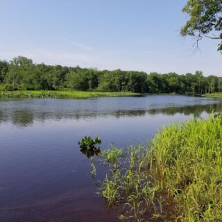 This New Jersey Boardwalk Takes Your Everyday Walk Into a Rare Wetland