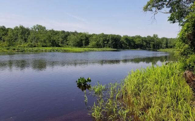 This New Jersey Boardwalk Takes Your Everyday Walk Into a Rare Wetland