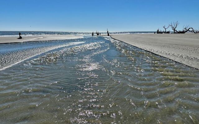 Hop the Ferry to This South Carolina Wildlife Refuge Island for Empty Beach and Sand Dollars