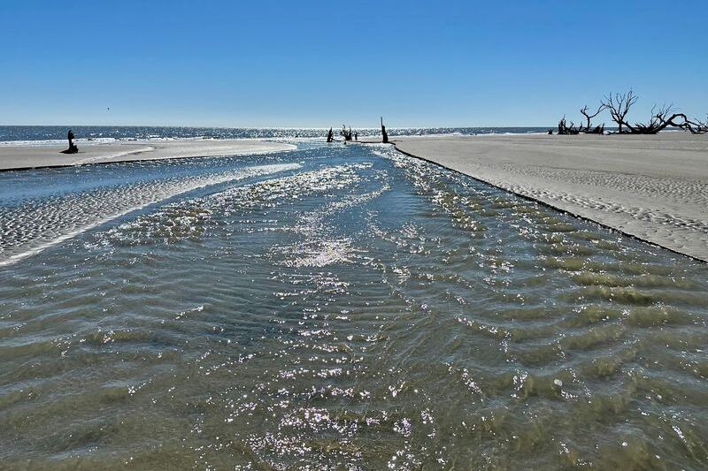 Hop the Ferry to This South Carolina Wildlife Refuge Island for Empty Beach and Sand Dollars