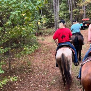 This Mississippi Horse Ranch Has 170 Acres Of Private Woodland Trails
