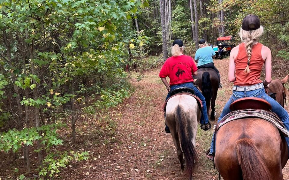 This Mississippi Horse Ranch Has 170 Acres Of Private Woodland Trails