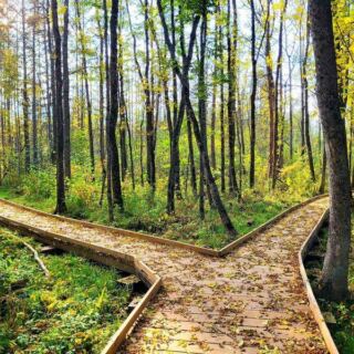 The Breathtaking Minnesota Getaway Hardly Anyone Has Heard Of Deserves a Spot on Your Fall Road Trip