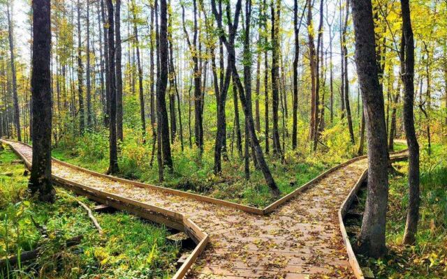 The Breathtaking Minnesota Getaway Hardly Anyone Has Heard Of Deserves a Spot on Your Fall Road Trip