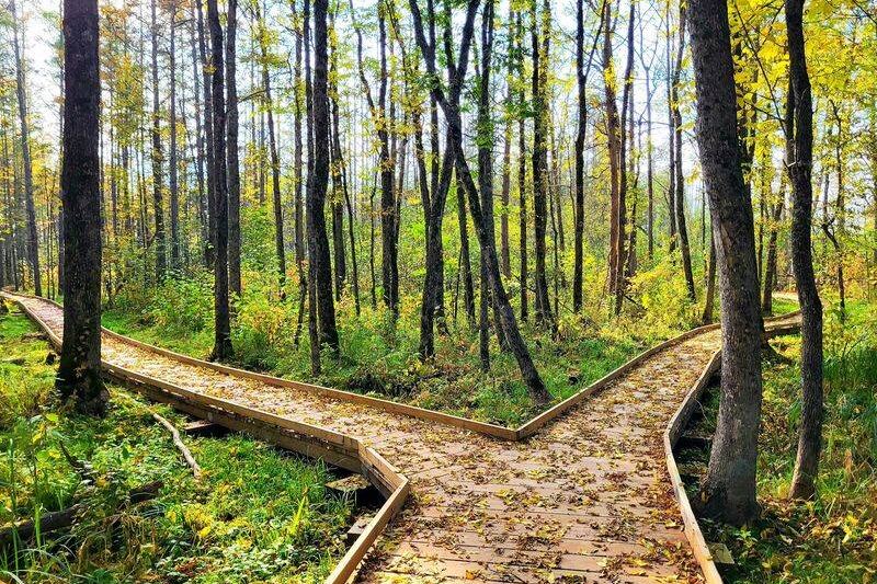 The Breathtaking Minnesota Getaway Hardly Anyone Has Heard Of Deserves a Spot on Your Fall Road Trip