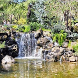 Inside This Free Gilroy Garden, Trees Grow Twisted Into Baskets, Hearts, and Ladders You Walk Right Past