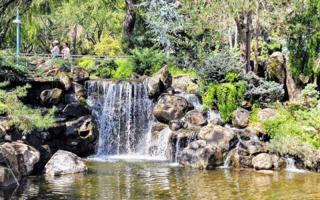 Inside This Free Gilroy Garden, Trees Grow Twisted Into Baskets, Hearts, and Ladders You Walk Right Past