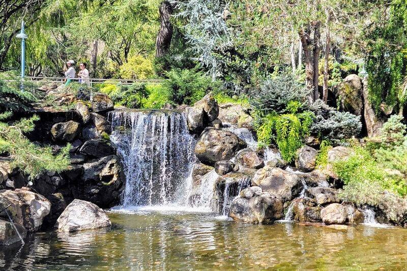 Inside This Free Gilroy Garden, Trees Grow Twisted Into Baskets, Hearts, and Ladders You Walk Right Past