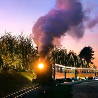 Climb Aboard This Carver, Massachusetts Train That Rolls Through Glowing Cranberry Bogs All Holiday Season
