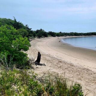 Bring Your Shell Bucket to These 10 New Jersey Beaches Before Breakfast