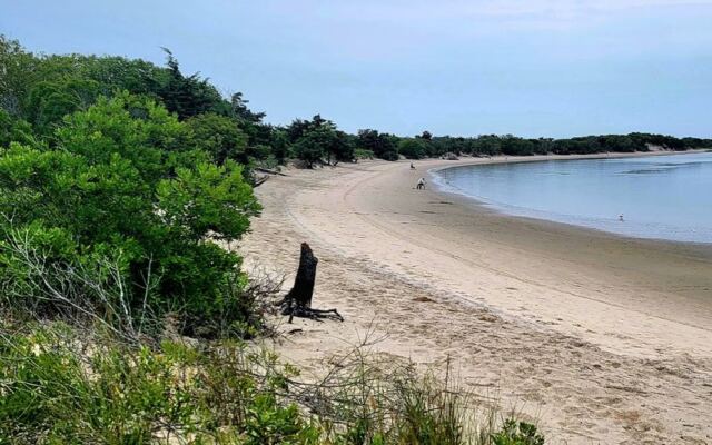 Bring Your Shell Bucket to These 10 New Jersey Beaches Before Breakfast