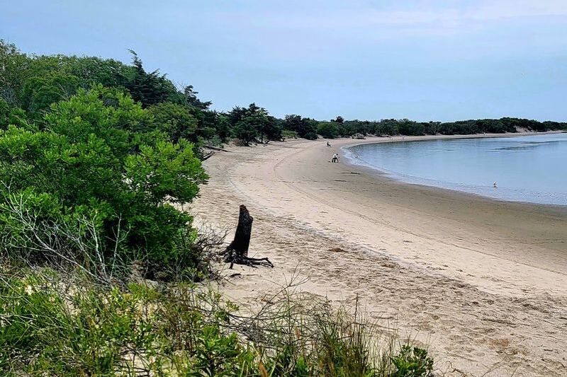 Bring Your Shell Bucket to These 10 New Jersey Beaches Before Breakfast